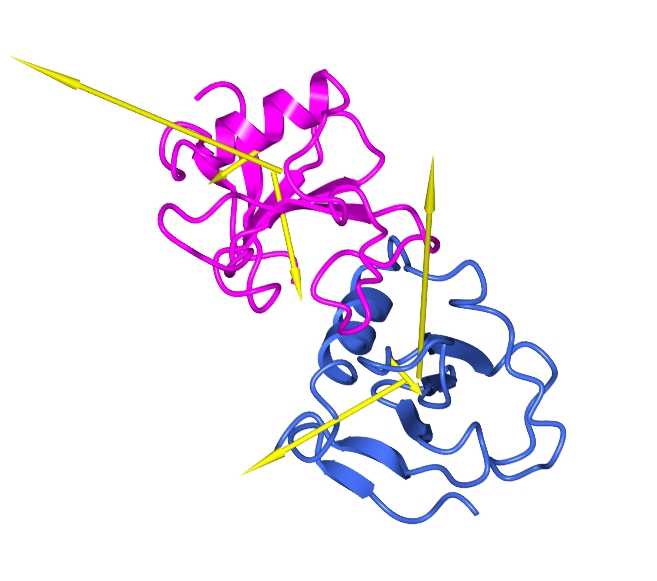 TLS vectors