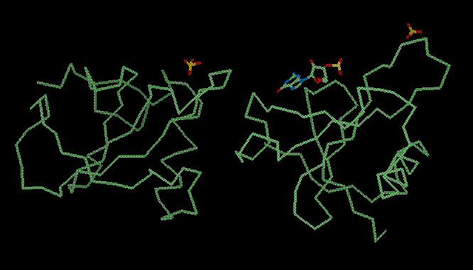 RNAse SA crystal structure